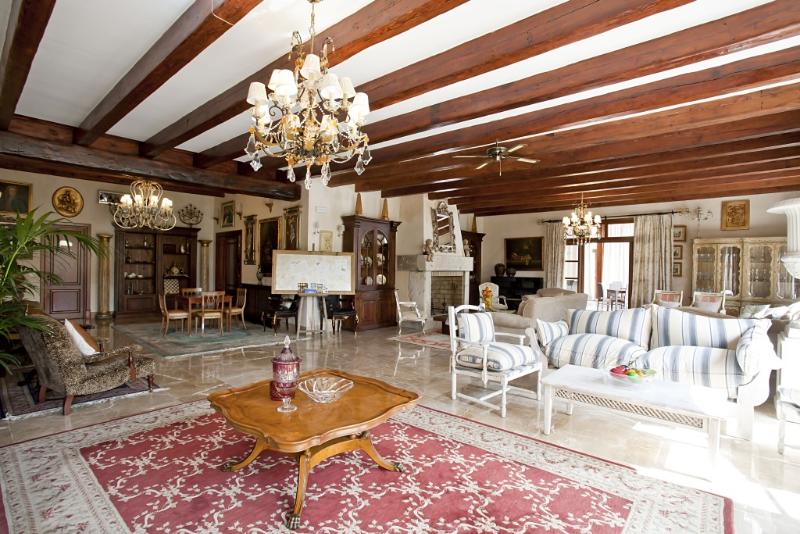SA VINYA DES CONVENT